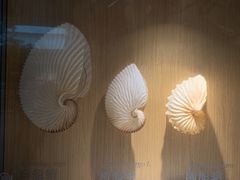 -中国湿地博物馆