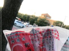 -和禄德冰糖葫芦