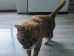 -雷鹰射击俱乐部