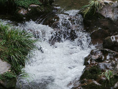 -龙苍沟森林公园
