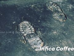 -Infica Coffee