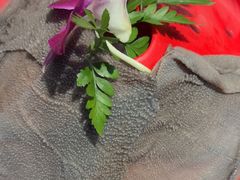 -草原塞蛮羊火锅城(港湾店)