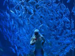 -波塞冬旅游度假区