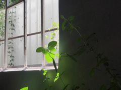 -坂田手造文化街