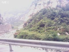 -王顺山国家森林公园