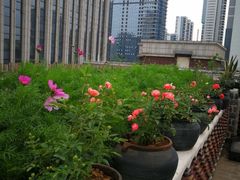 -瓦库茶馆17号(海汇港店)