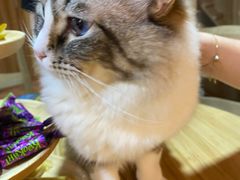 -白兔子密室(长寿路店)