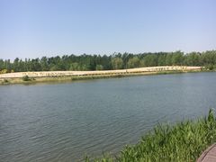 -东郊湿地公园