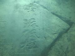 -白鹤梁水下博物馆