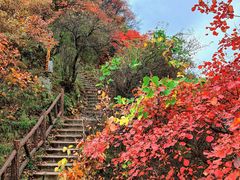 -秦岭终南山世界地质公园翠华山景区