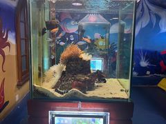 -太平洋海底世界