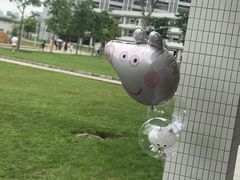 -广东财经大学(广州校区)