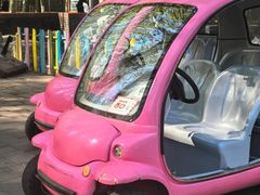 -泉州海丝野生动物世界