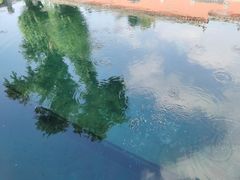 -百脉泉景区