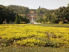-南沙天后宫景区