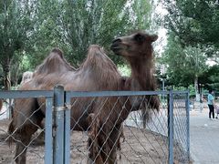 -长白岛森林公园