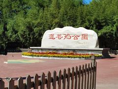 -莲花池公园