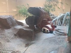-宁波野生动物园