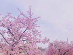 -上海辰山植物园