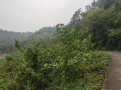 -四川农业大学(雅安校区)