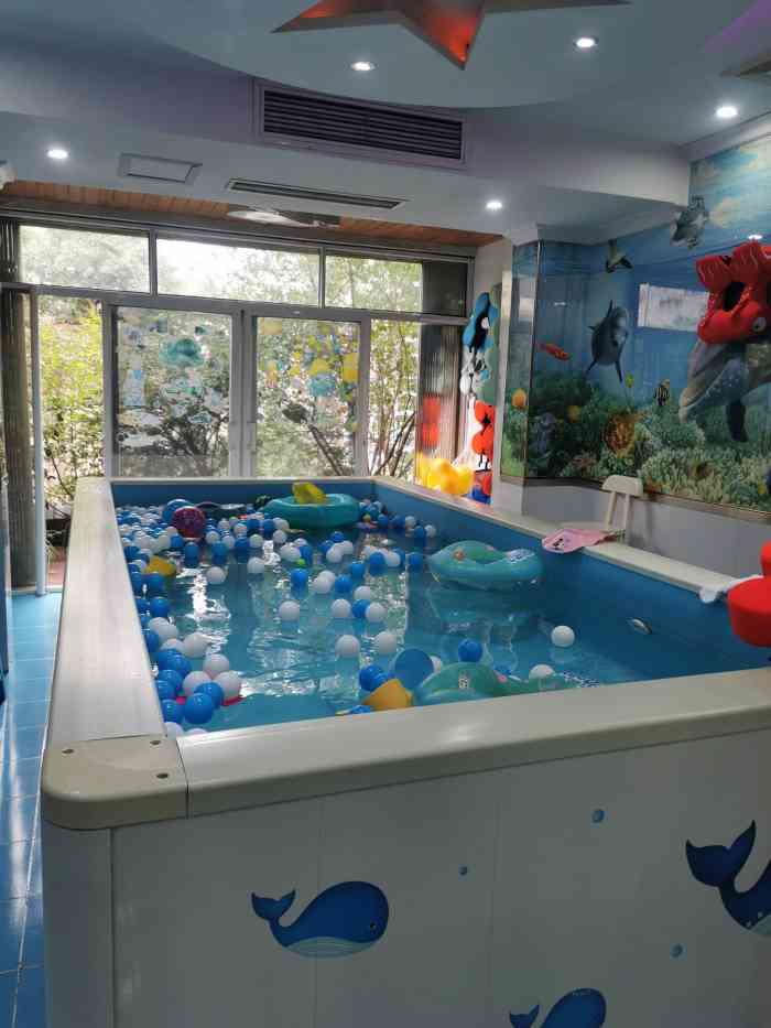 小海豹婴幼儿游泳馆(南坪万达广场店) 0642/人 南岸区南坪婴儿游 