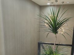-牙博士口腔品牌连锁(昆山城区店)