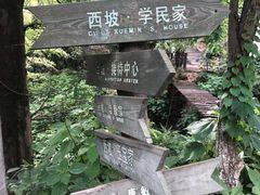 -莫干山风景区