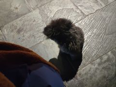 -EVA咖啡小酒馆