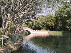 -深圳龙潭公园