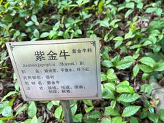 -广州神农草堂中医药博物馆