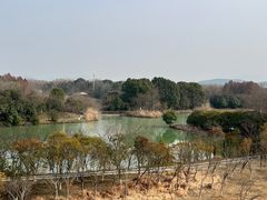 -苏州太湖国家湿地公园