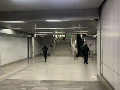 -宋家庄(地铁站)
