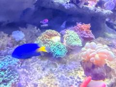 -北海·海洋之窗