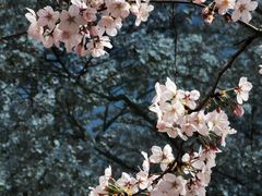 -龙美术馆(西岸馆)