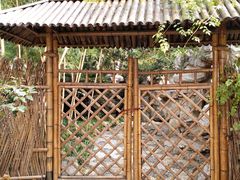 -静安公园(静安寺街道)