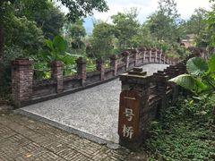 -田野绿世界