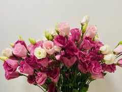 -双季花艺园艺市场(浦东店)