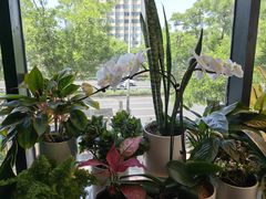 -懒人盐府人家(航天桥店)