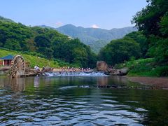 -广州市石门国家森林公园