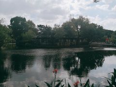 -月湖公园