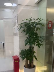 -SKINIST丽铂医疗美容