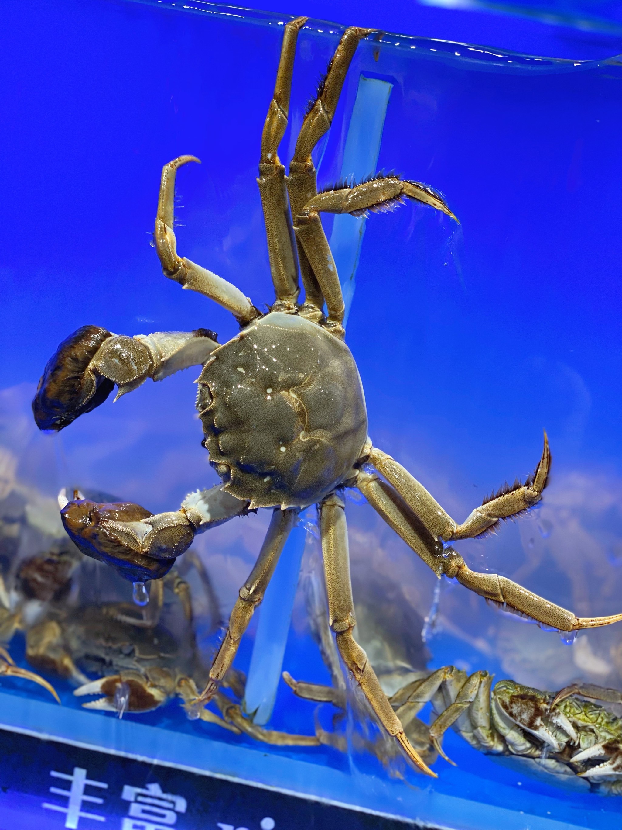 华信银座,蝶变归来