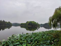 -上海市保健医疗中心