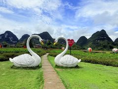 -靖西鹅泉风景区