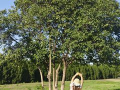 -汉长安城未央宫国家考古遗址公园