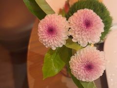-佐度王子扒房(爱建卓展店)