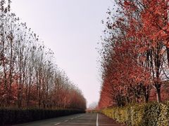 -南京枫彩漫城