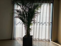 -北京三里屯CHAO酒店