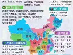 -清真·老陈家烩菜(东新街总店)
