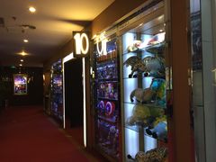 -UME影城(安贞DTS:X店)